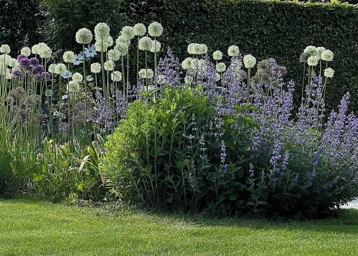 Der Kleingärtnerverein Leopoldau-Ladestelle wünscht frohe Weihnachten!